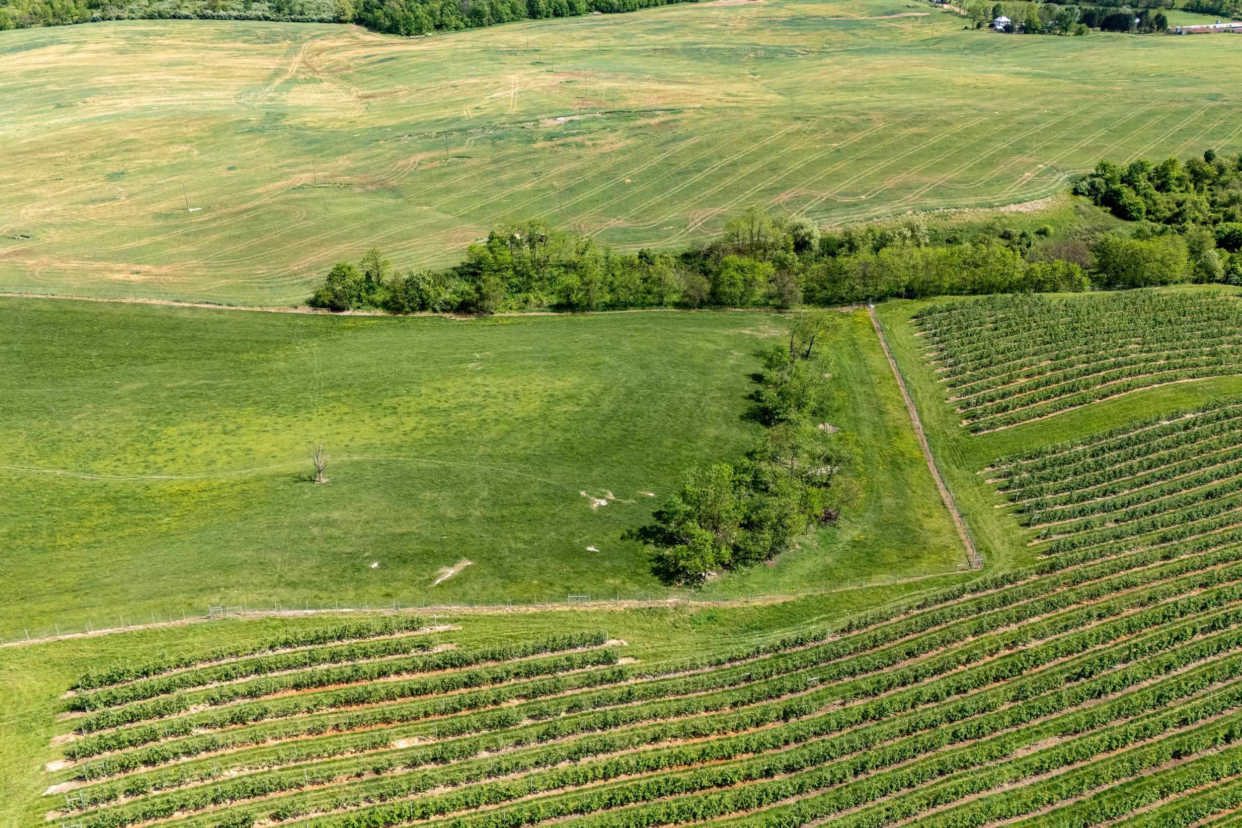 Tbd Vetters Road Timberville, VA 22853 - Photo 5 of 75 a view of a lake with a big yard