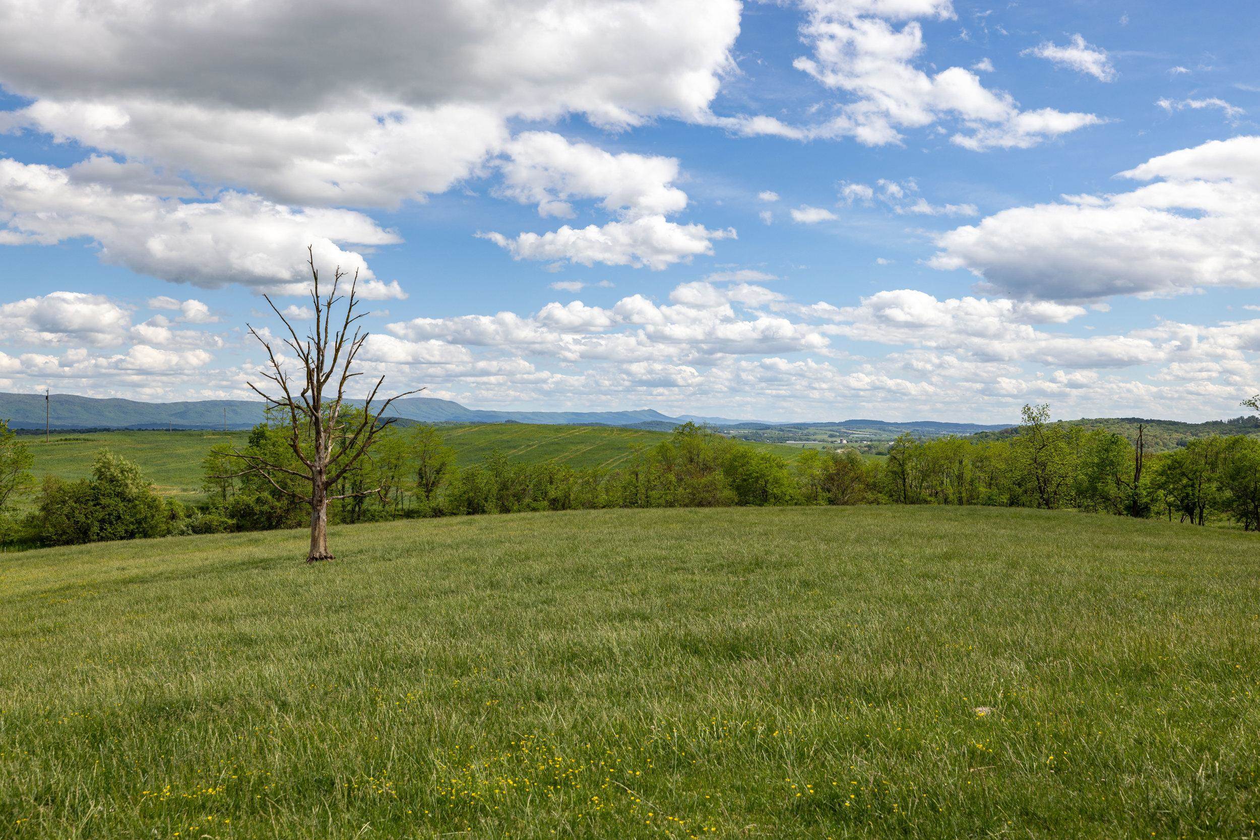 Tbd Vetters Road Timberville, VA 22853 - Photo 51 of 75 a view of an outdoor space and yard