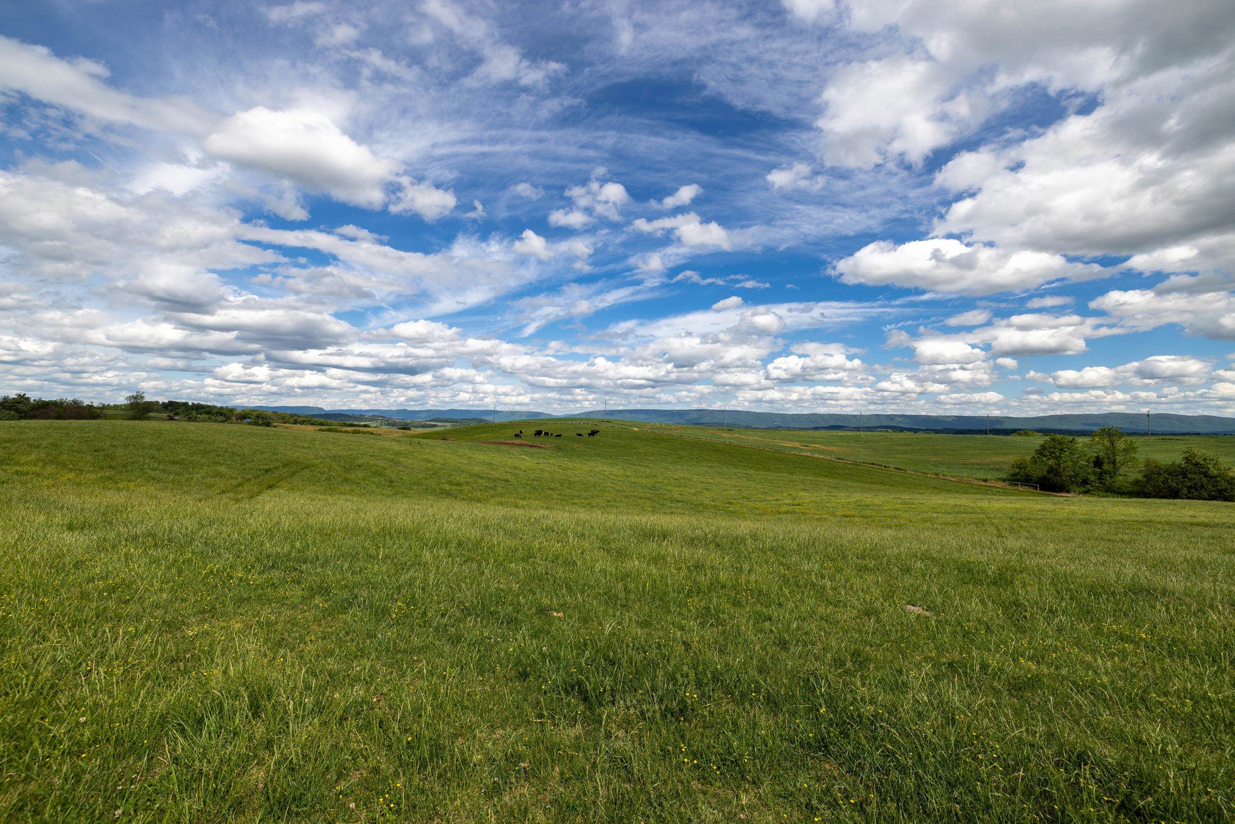 Tbd Vetters Road Timberville, VA 22853 - Photo 52 of 75 a view of a big yard with lots of green space