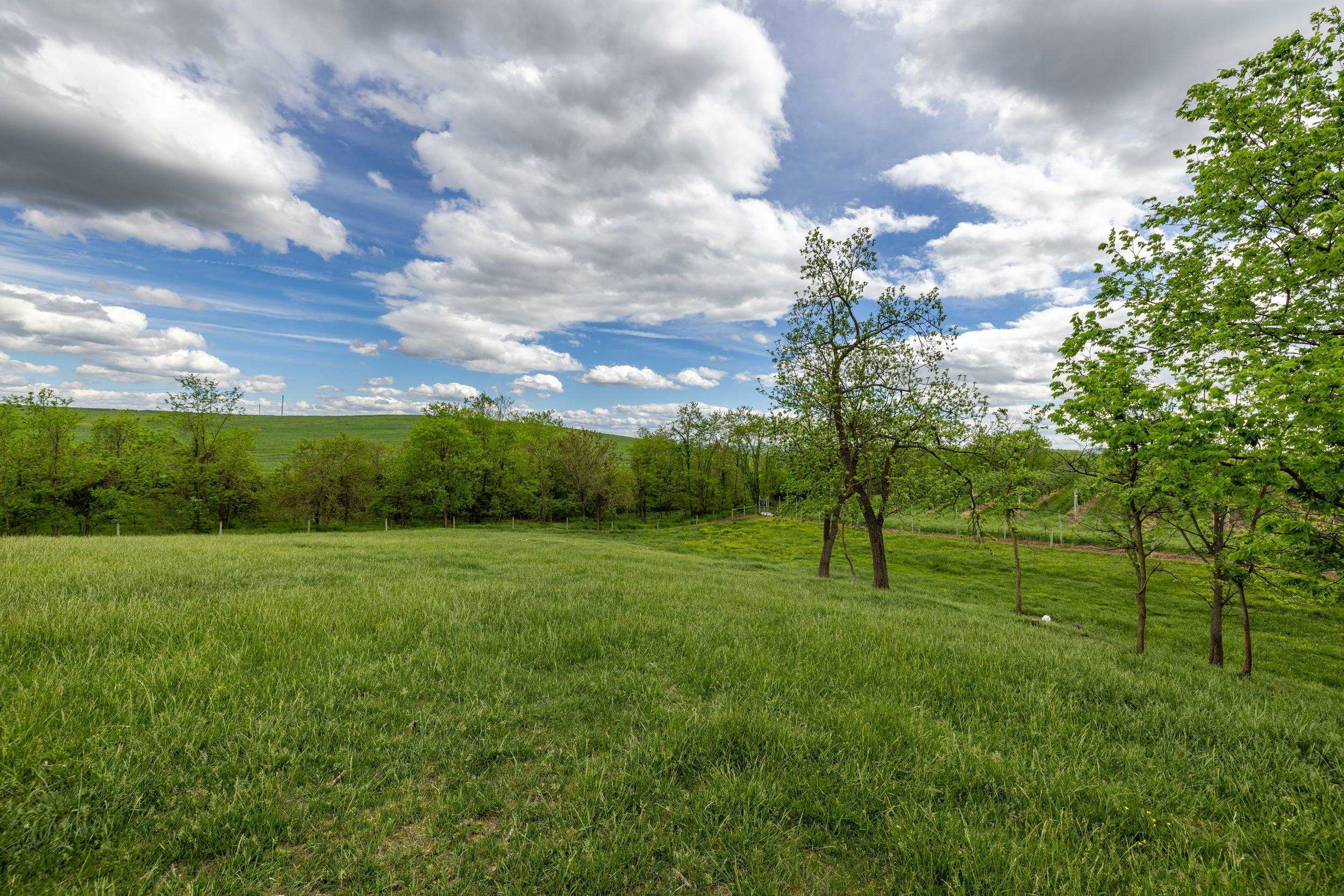 Tbd Vetters Road Timberville, VA 22853 - Photo 53 of 75