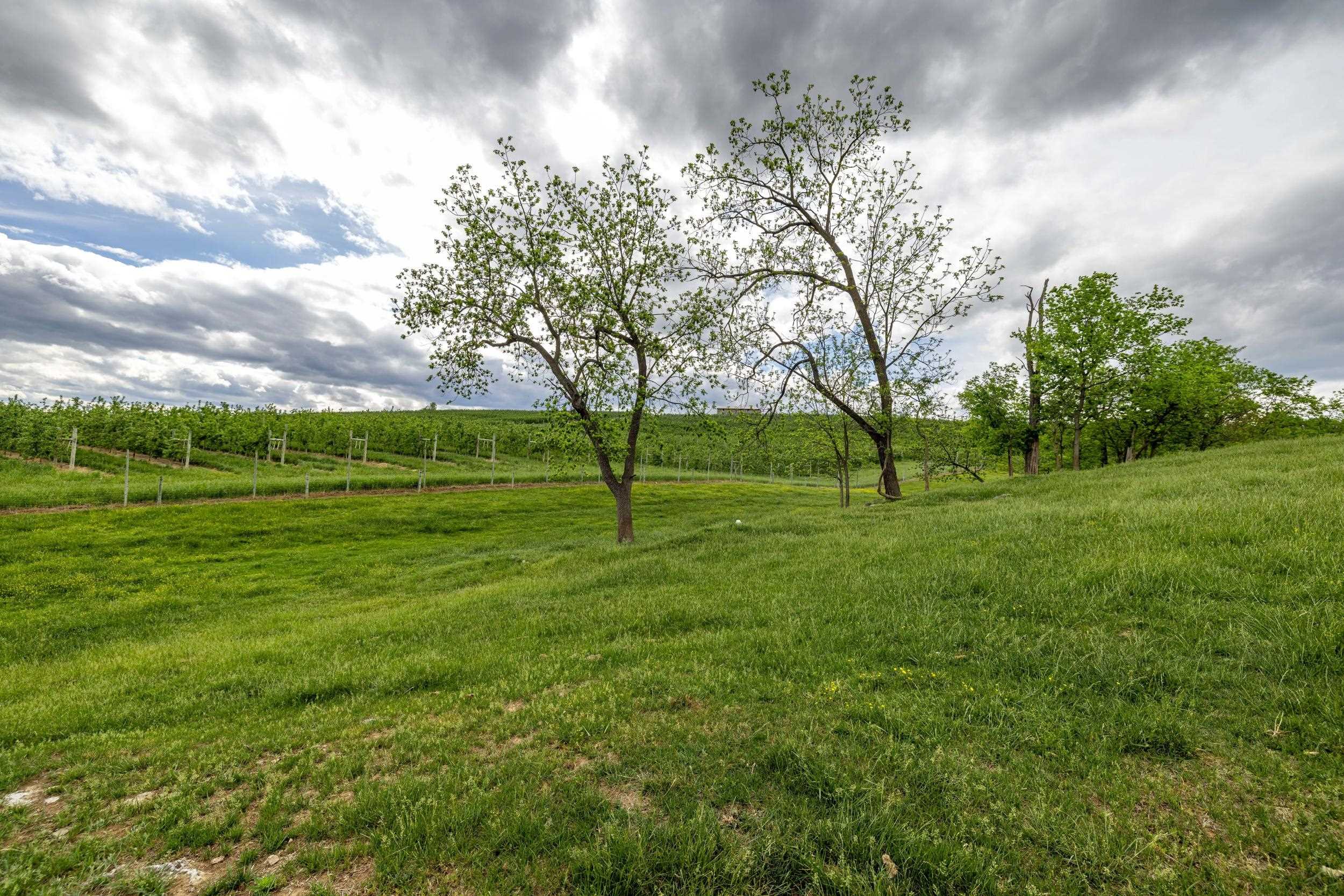 Tbd Vetters Road Timberville, VA 22853 - Photo 54 of 75 a view of a park with large trees