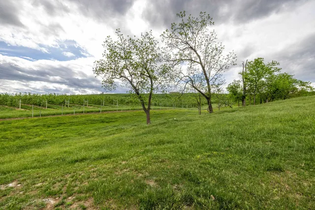 $225,000 | Tbd Vetters Road, Timberville, VA 22853