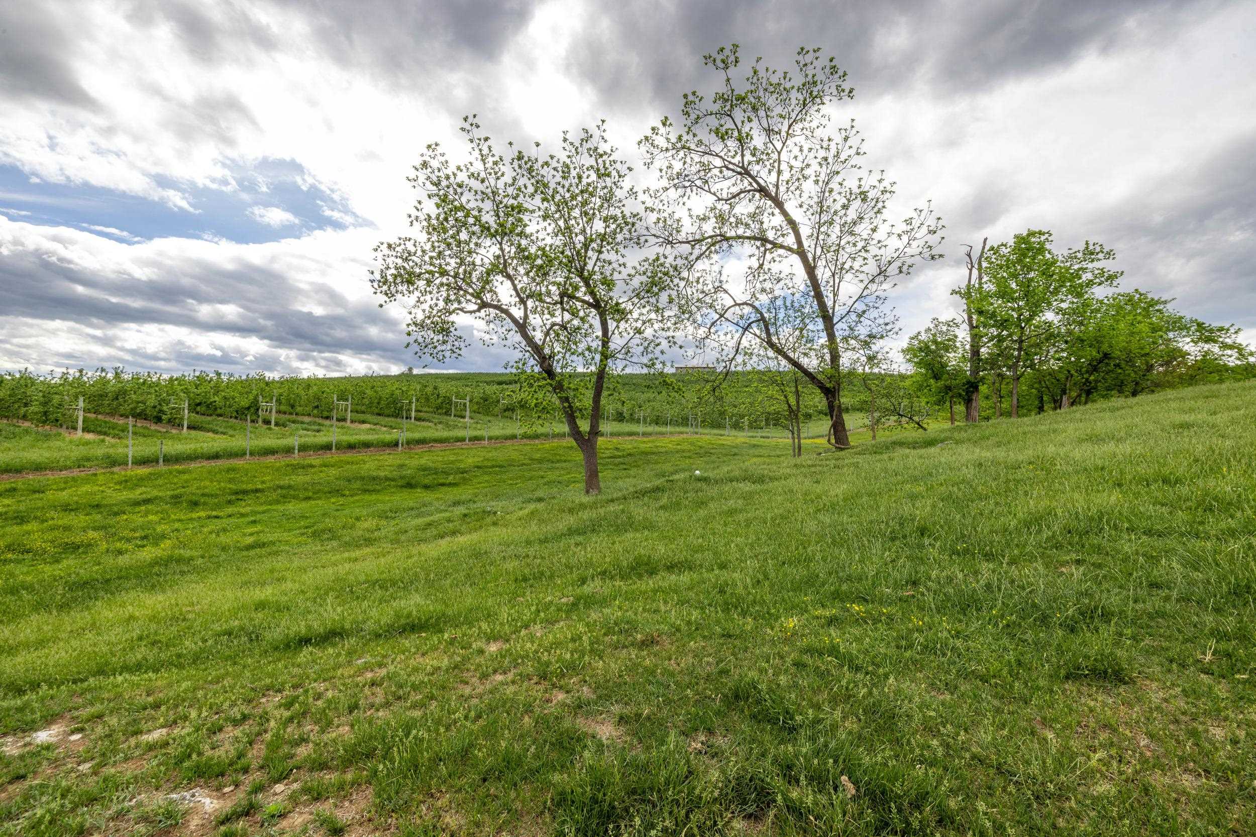 Tbd Vetters Road Timberville, VA 22853 - Photo 55 of 75