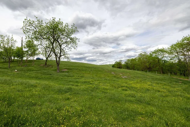 $225,000 | Tbd Vetters Road, Timberville, VA 22853