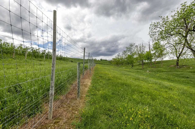 $225,000 | Tbd Vetters Road, Timberville, VA 22853