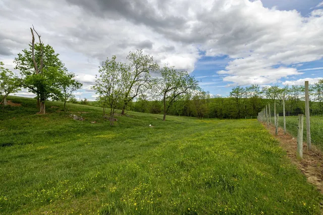 $225,000 | Tbd Vetters Road, Timberville, VA 22853