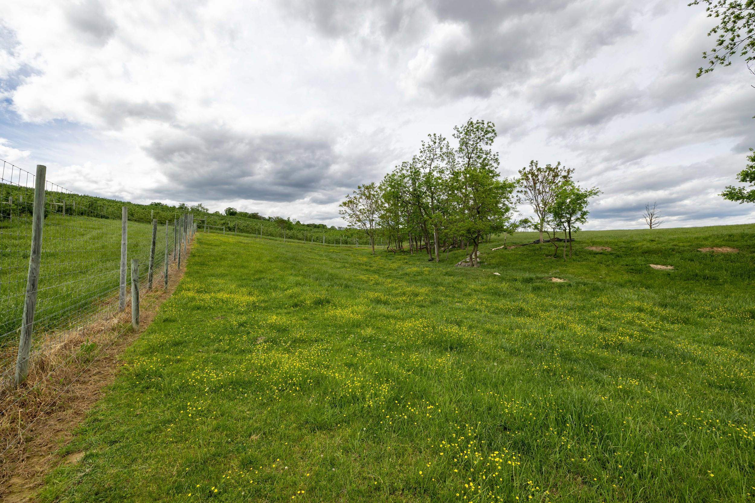Tbd Vetters Road Timberville, VA 22853 - Photo 59 of 75 a view of a golf course with a lake