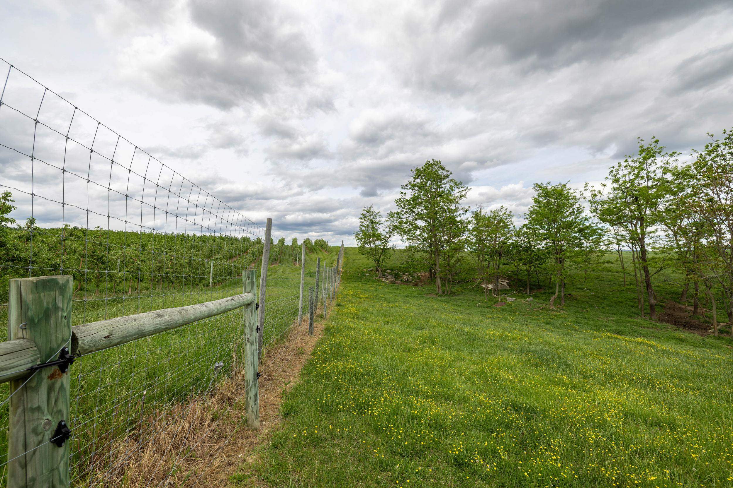 Tbd Vetters Road Timberville, VA 22853 - Photo 60 of 75 a view of a golf course with a lake