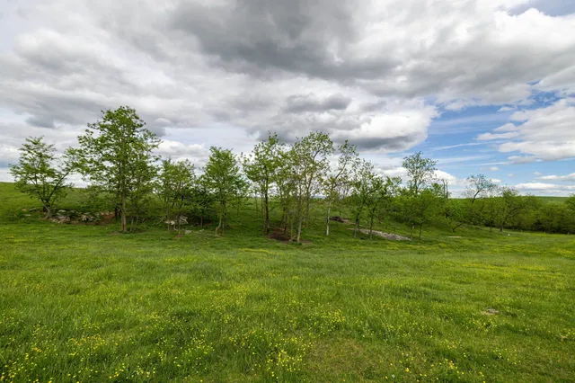 $225,000 | Tbd Vetters Road, Timberville, VA 22853