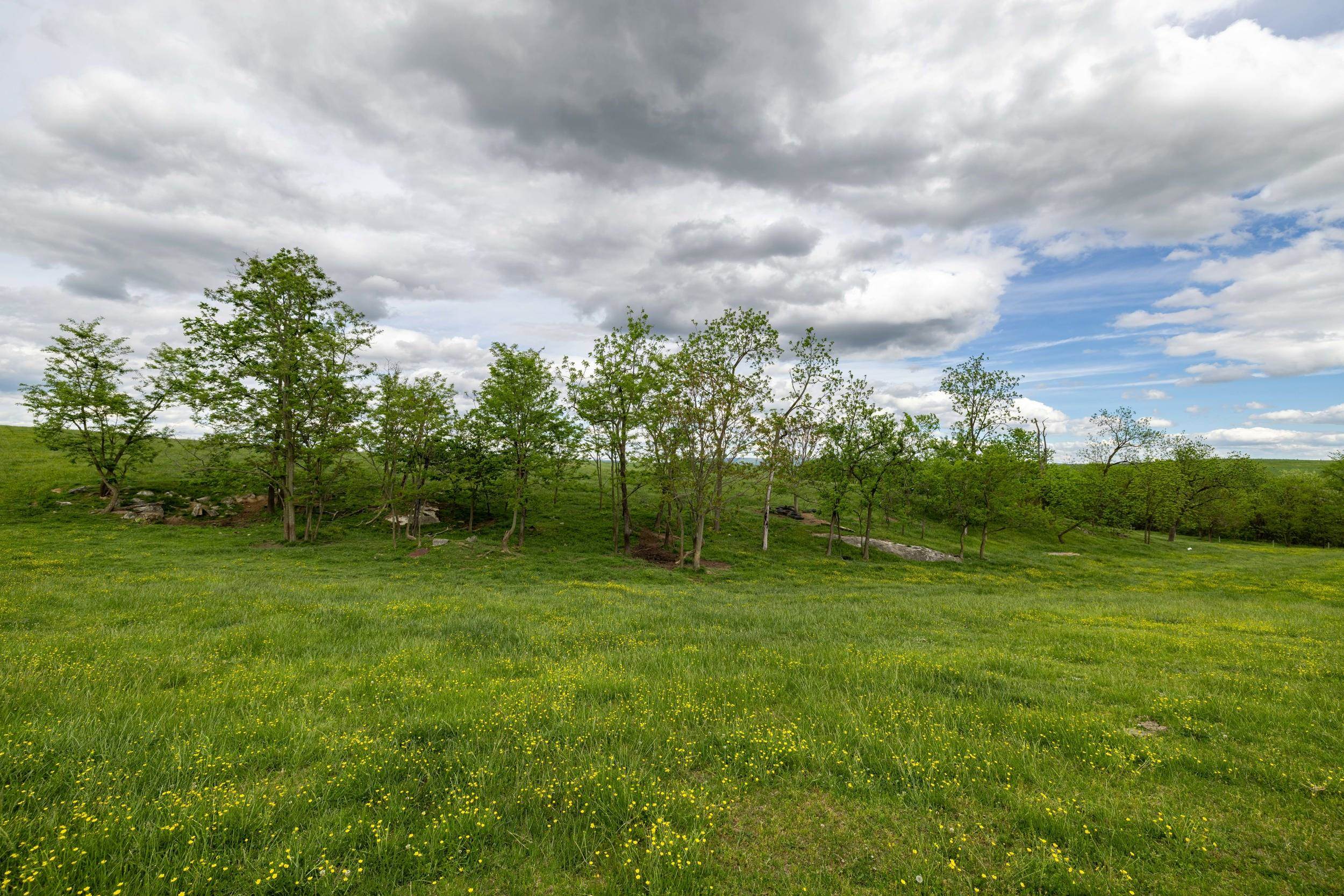 Tbd Vetters Road Timberville, VA 22853 - Photo 61 of 75