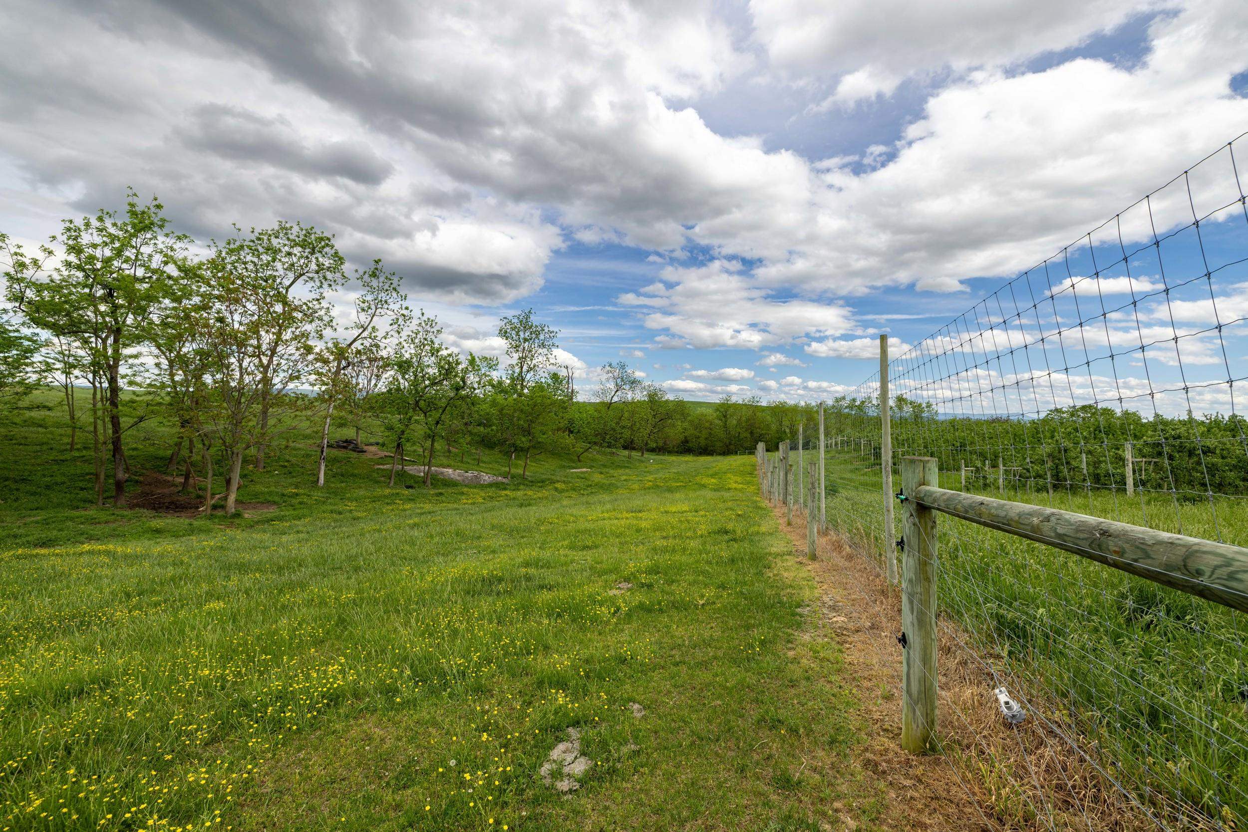 Tbd Vetters Road Timberville, VA 22853 - Photo 62 of 75 a view of a garden with a lake