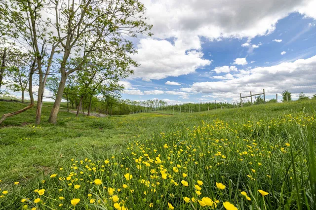 $225,000 | Tbd Vetters Road, Timberville, VA 22853