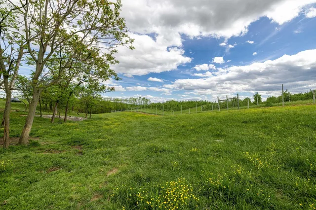 $225,000 | Tbd Vetters Road, Timberville, VA 22853