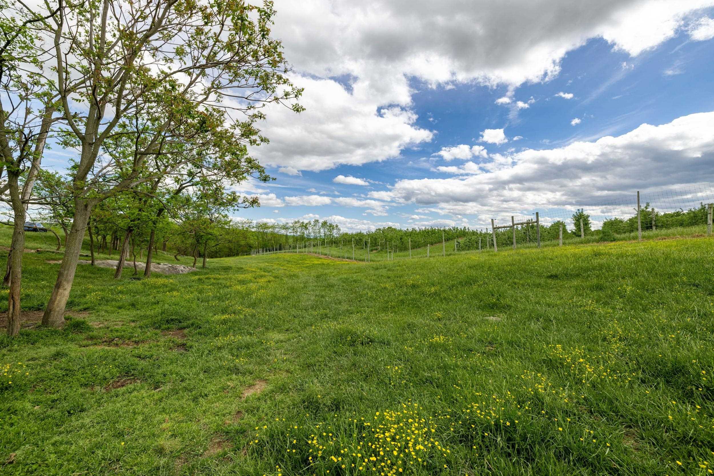 Tbd Vetters Road Timberville, VA 22853 - Photo 64 of 75 a view of an outdoor space and a yard