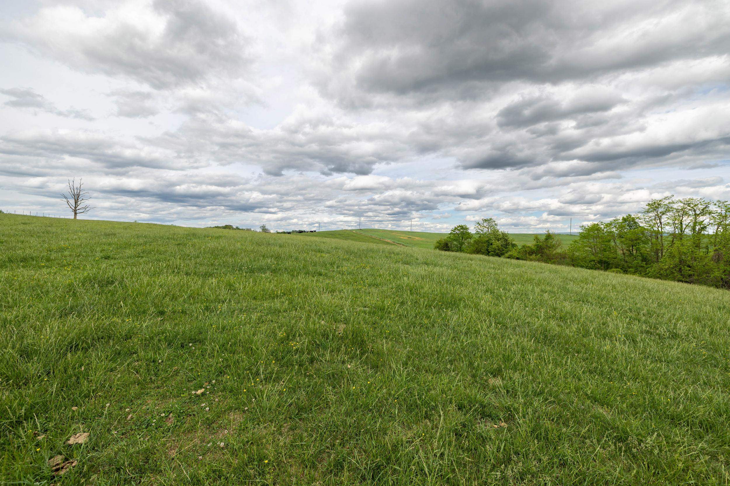 Tbd Vetters Road Timberville, VA 22853 - Photo 66 of 75