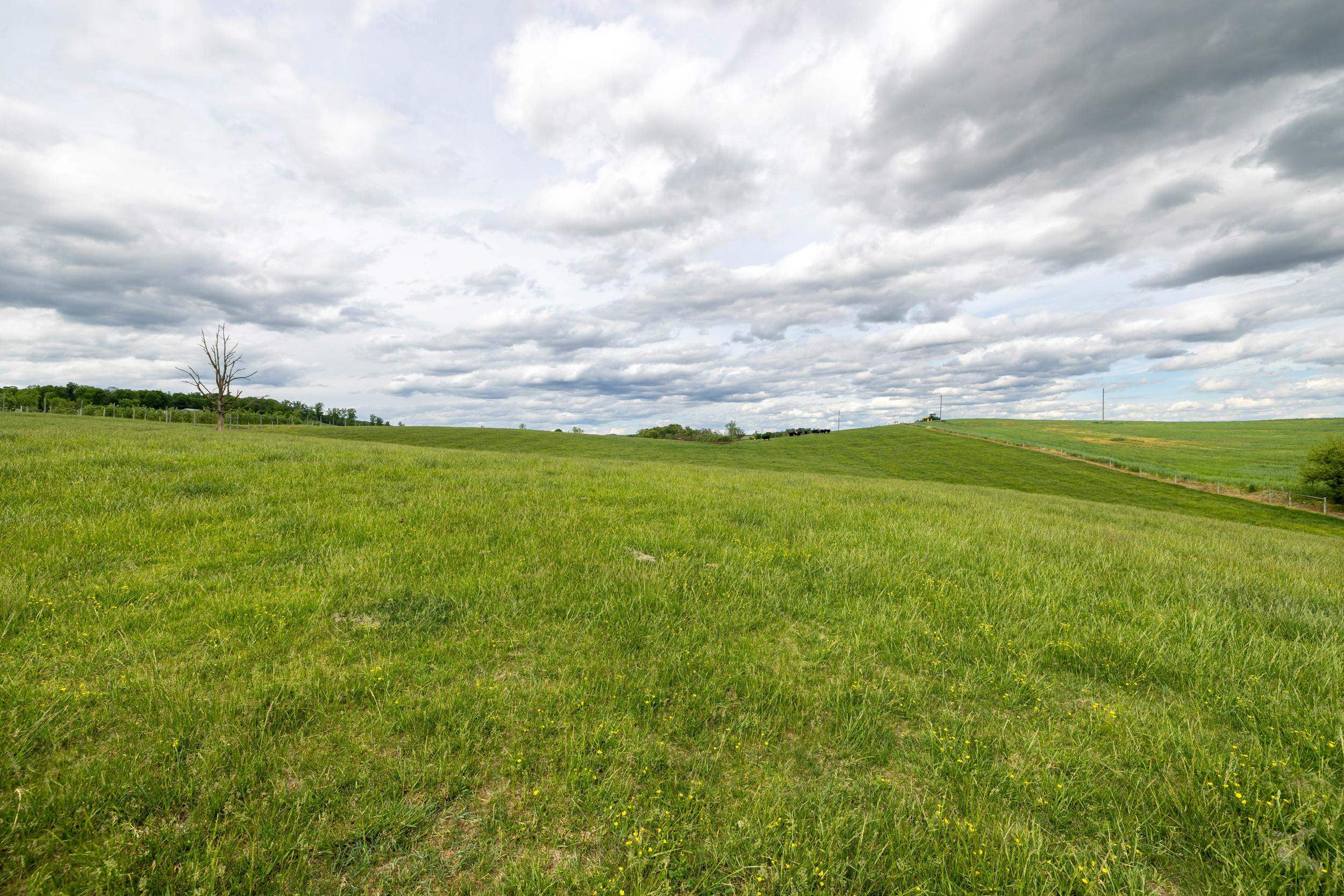 Tbd Vetters Road Timberville, VA 22853 - Photo 67 of 75 a view of a big yard with lots of green space