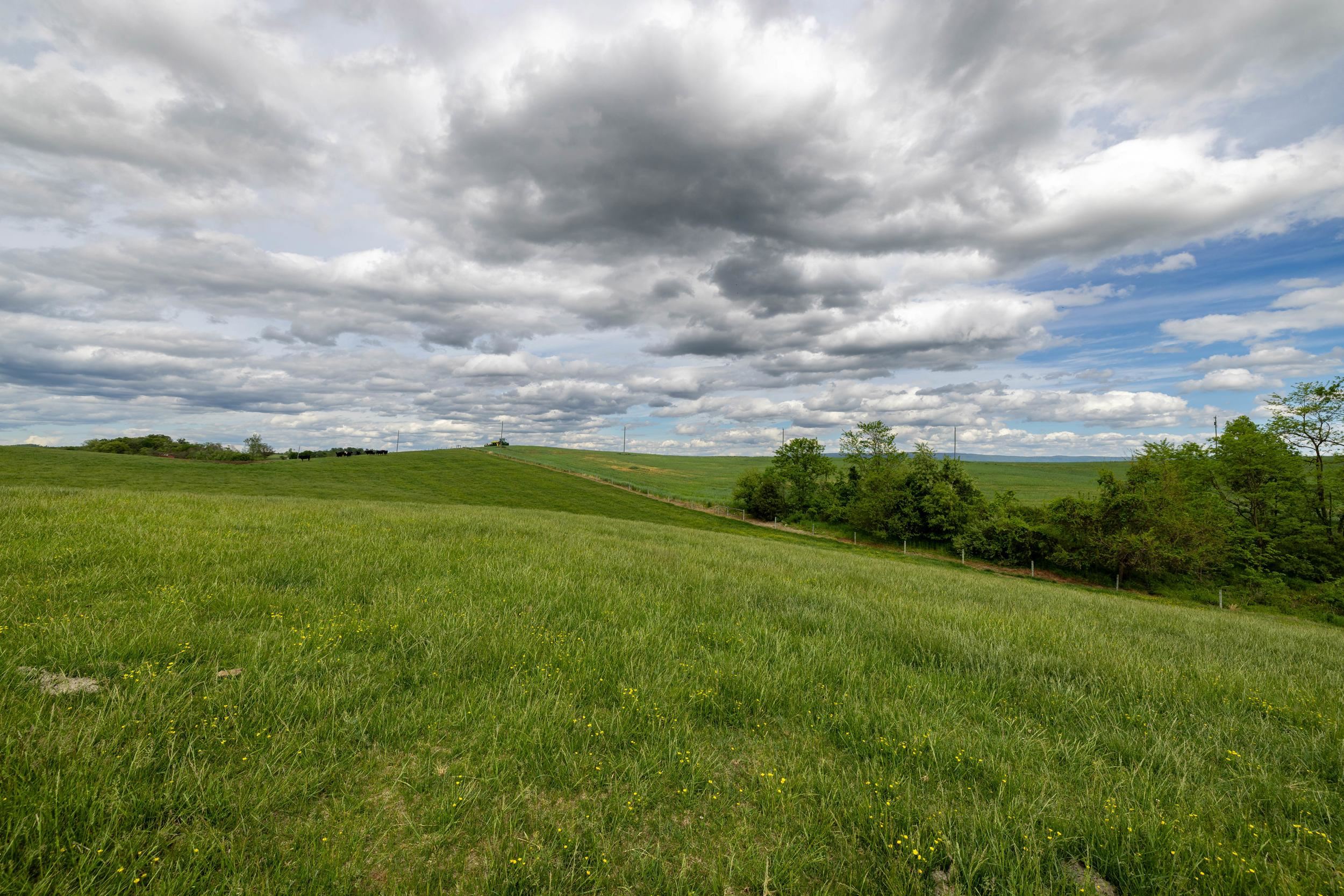 Tbd Vetters Road Timberville, VA 22853 - Photo 68 of 75 a view of a big yard with swimming pool and green space