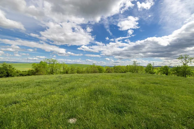 $225,000 | Tbd Vetters Road, Timberville, VA 22853