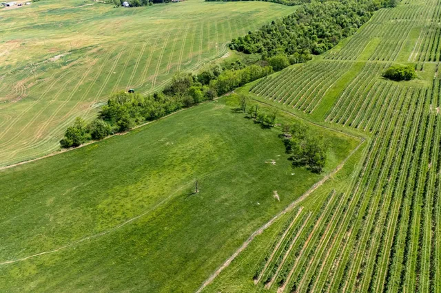 a view of an outdoor space and a yard