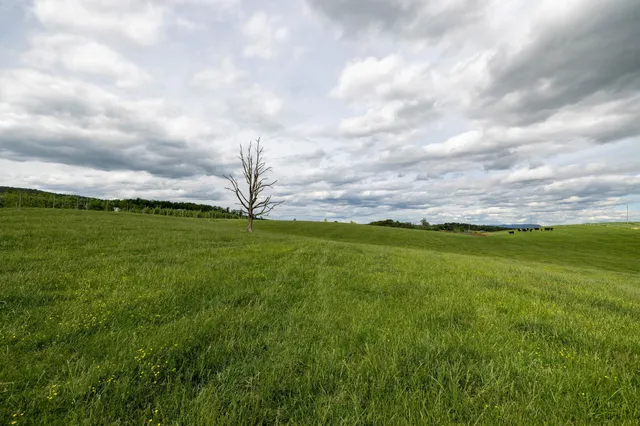 $225,000 | Tbd Vetters Road, Timberville, VA 22853