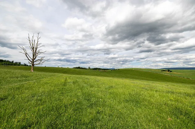 $225,000 | Tbd Vetters Road, Timberville, VA 22853