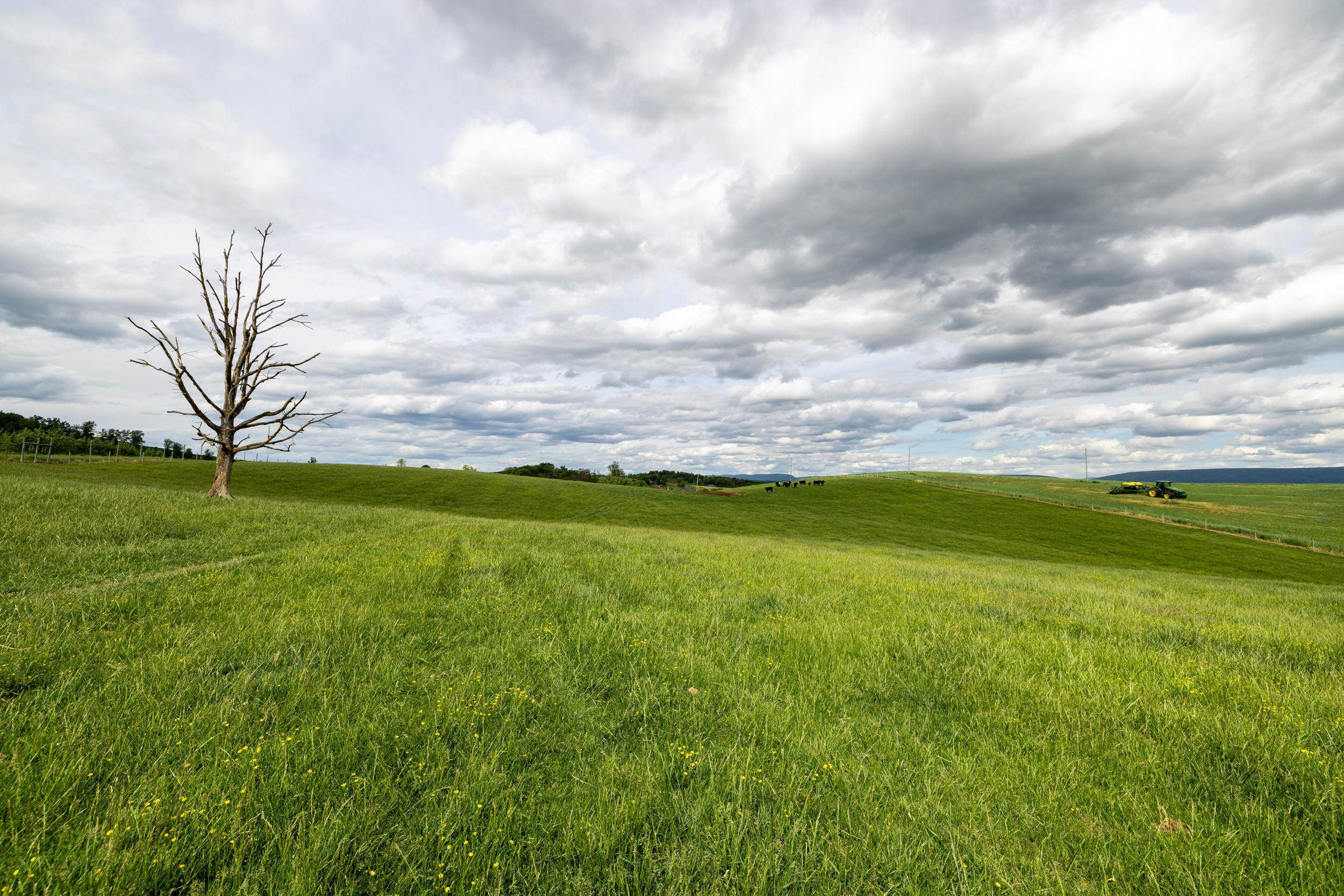 Tbd Vetters Road Timberville, VA 22853 - Photo 72 of 75 a view of yard with swimming pool and green space