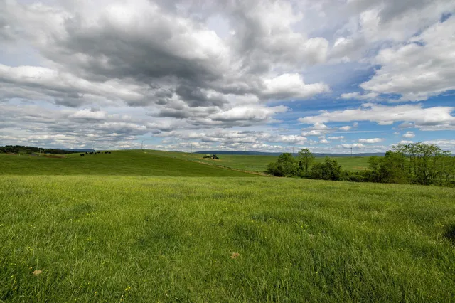 $225,000 | Tbd Vetters Road, Timberville, VA 22853