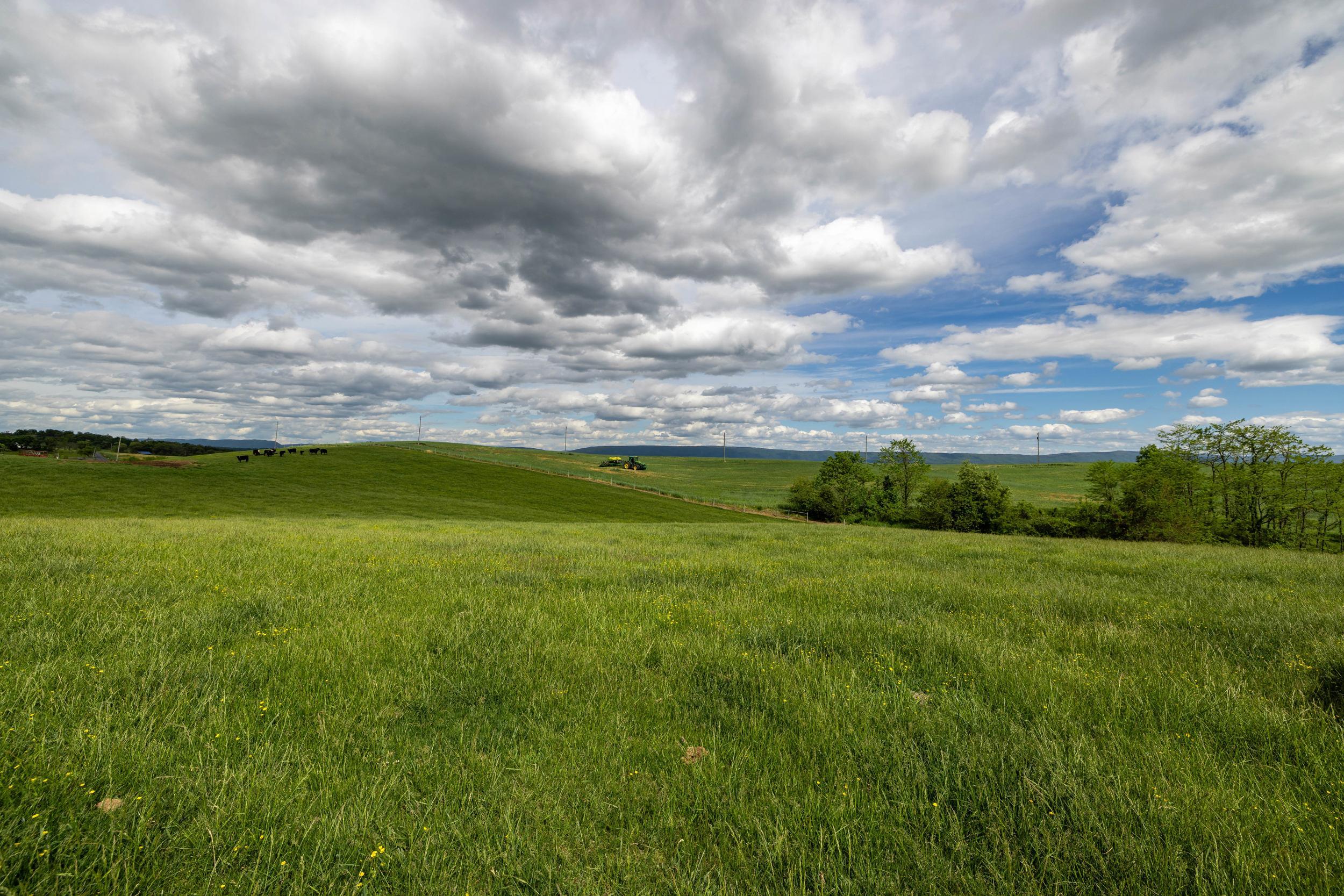 Tbd Vetters Road Timberville, VA 22853 - Photo 73 of 75 a view of a big yard with large trees