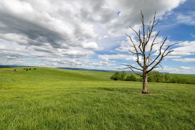 $225,000 | Tbd Vetters Road, Timberville, VA 22853