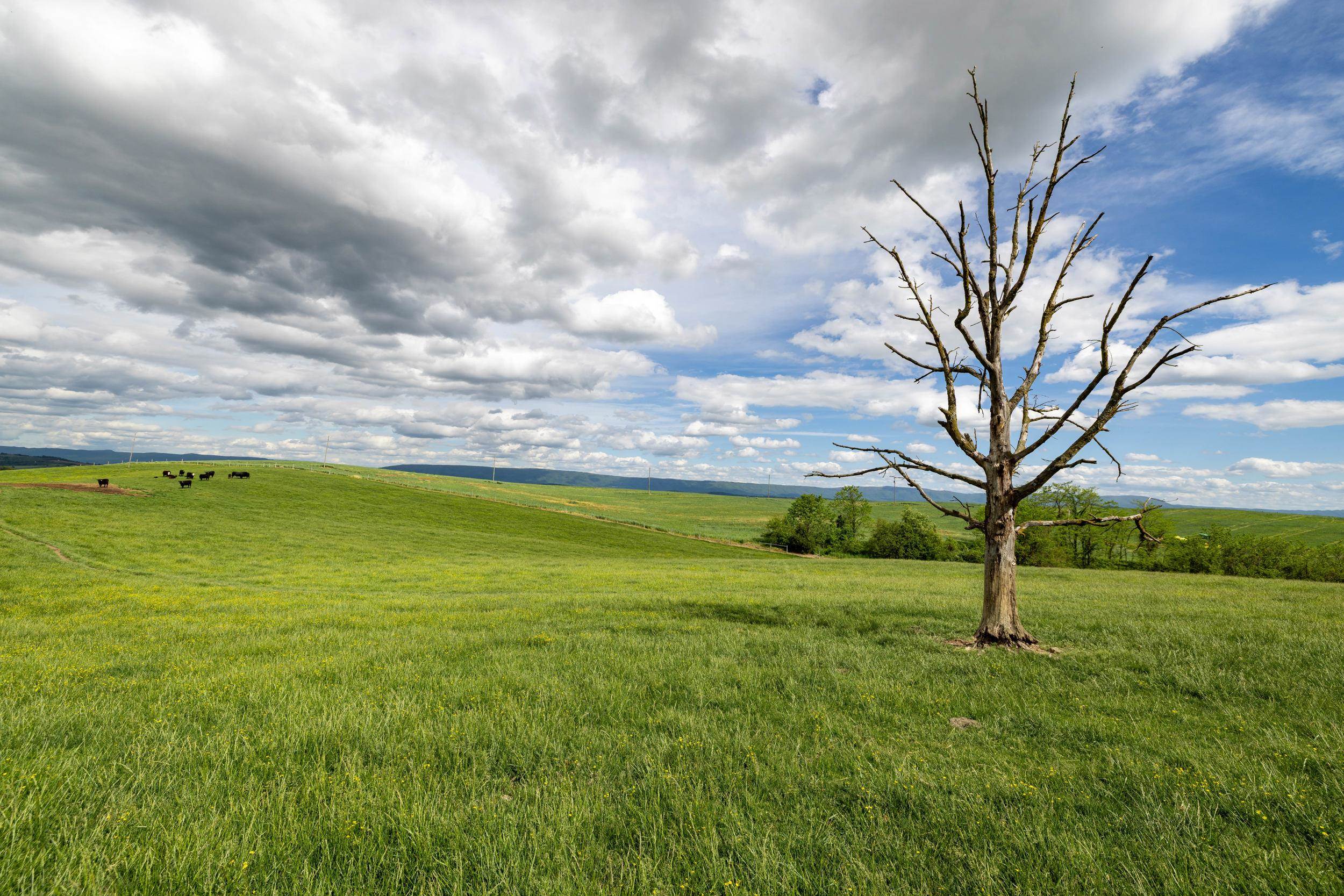 Tbd Vetters Road Timberville, VA 22853 - Photo 74 of 75 a view of yard with an outdoor seating