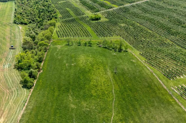 a view of a field with an ocean view