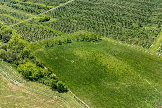 a view of a field with an ocean