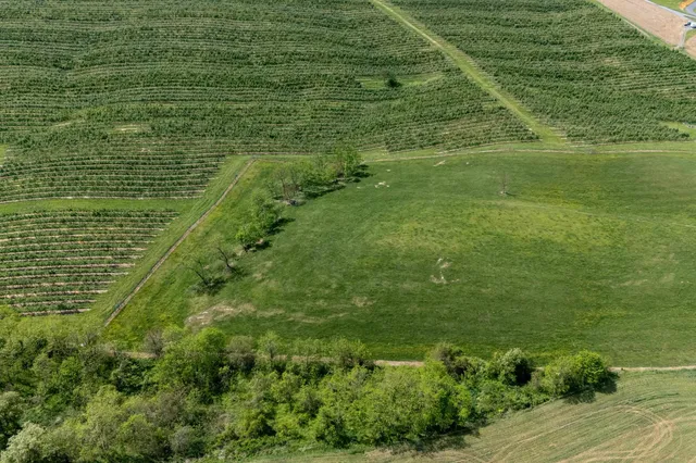 a view of a pool in a yard with an ocean view
