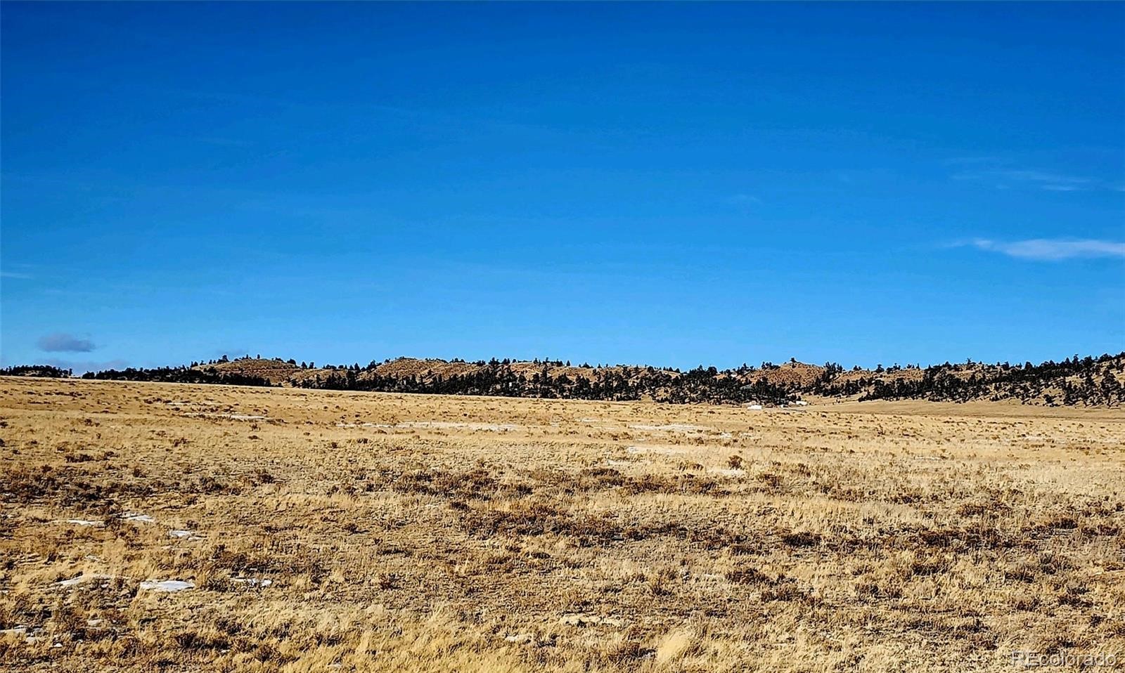 9561 Jackson Road Hartsel, CO 80449 - Photo 3 of 7 Gallery Image 3