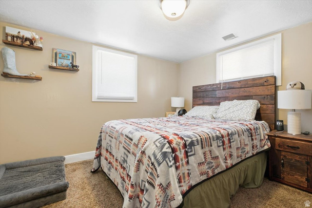565 East 800 North Logan, UT 84321 - Photo 27 of 27 Bedroom featuring neutral wall paint, two windows with blinds, a ceiling-mounted light fixture, and carpet flooring