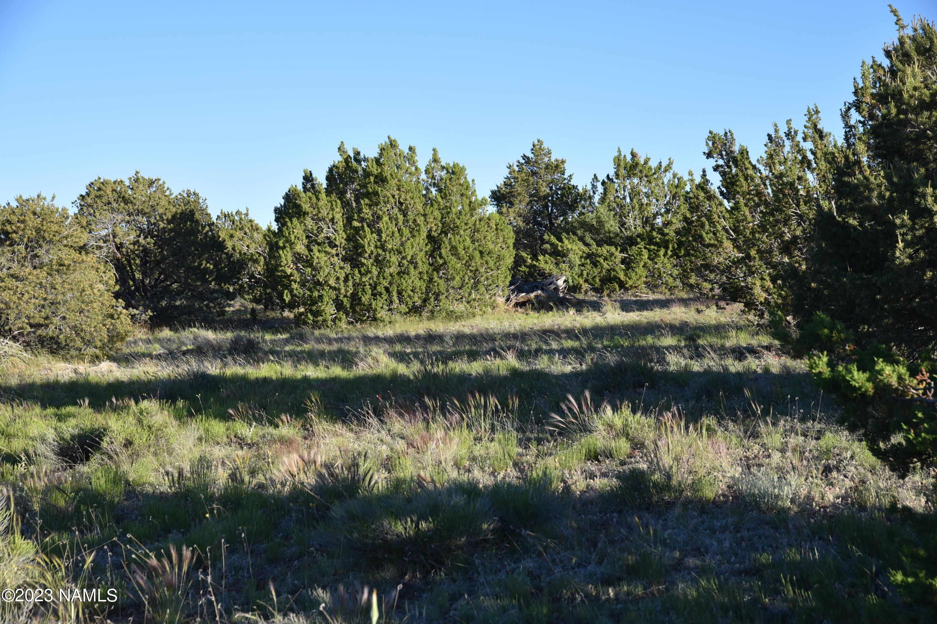 11921 Mesa View Road Williams, AZ 86046 - Photo 11 of 28 DSC_2645