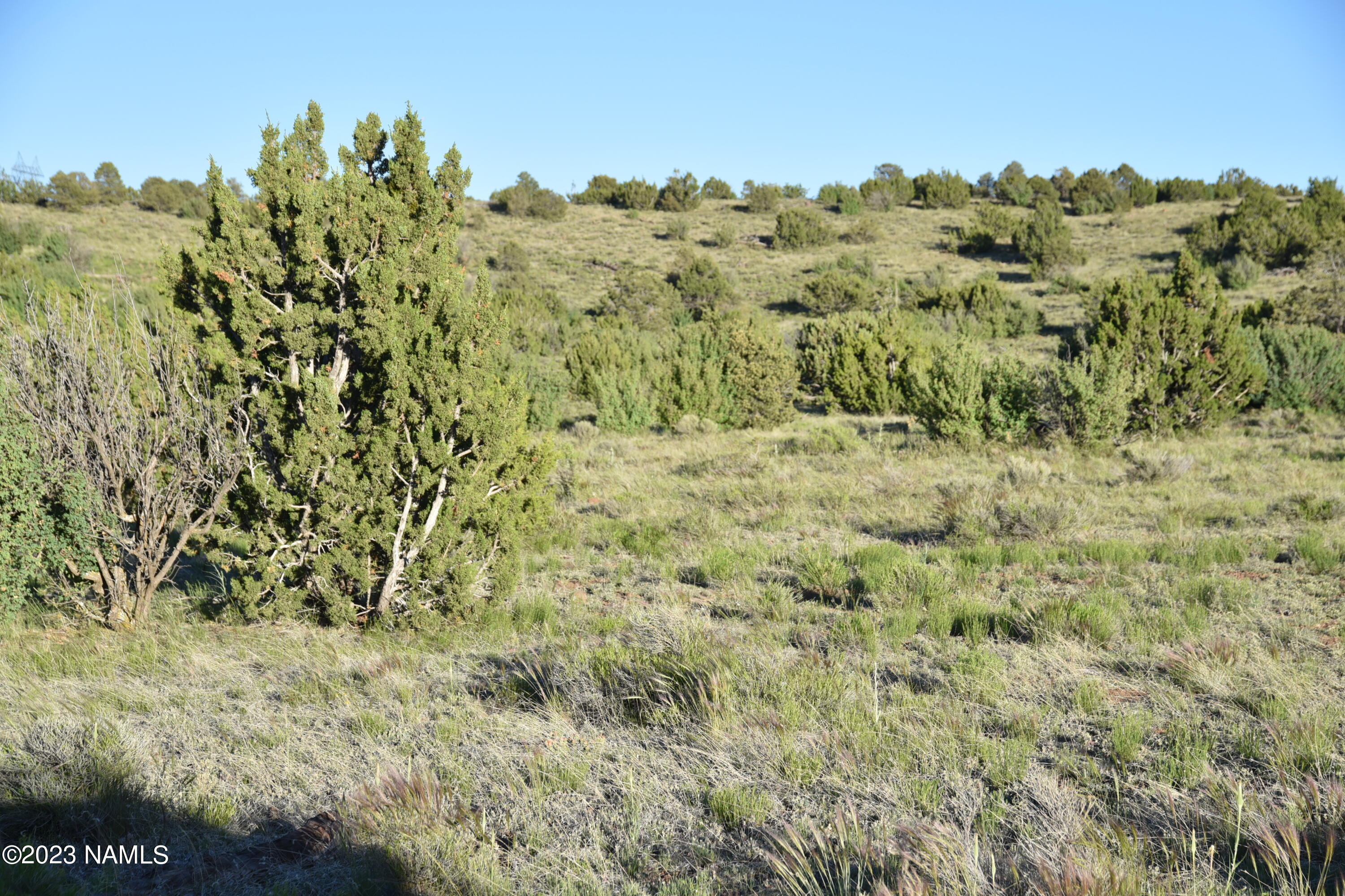 11921 Mesa View Road Williams, AZ 86046 - Photo 12 of 28 DSC_2646