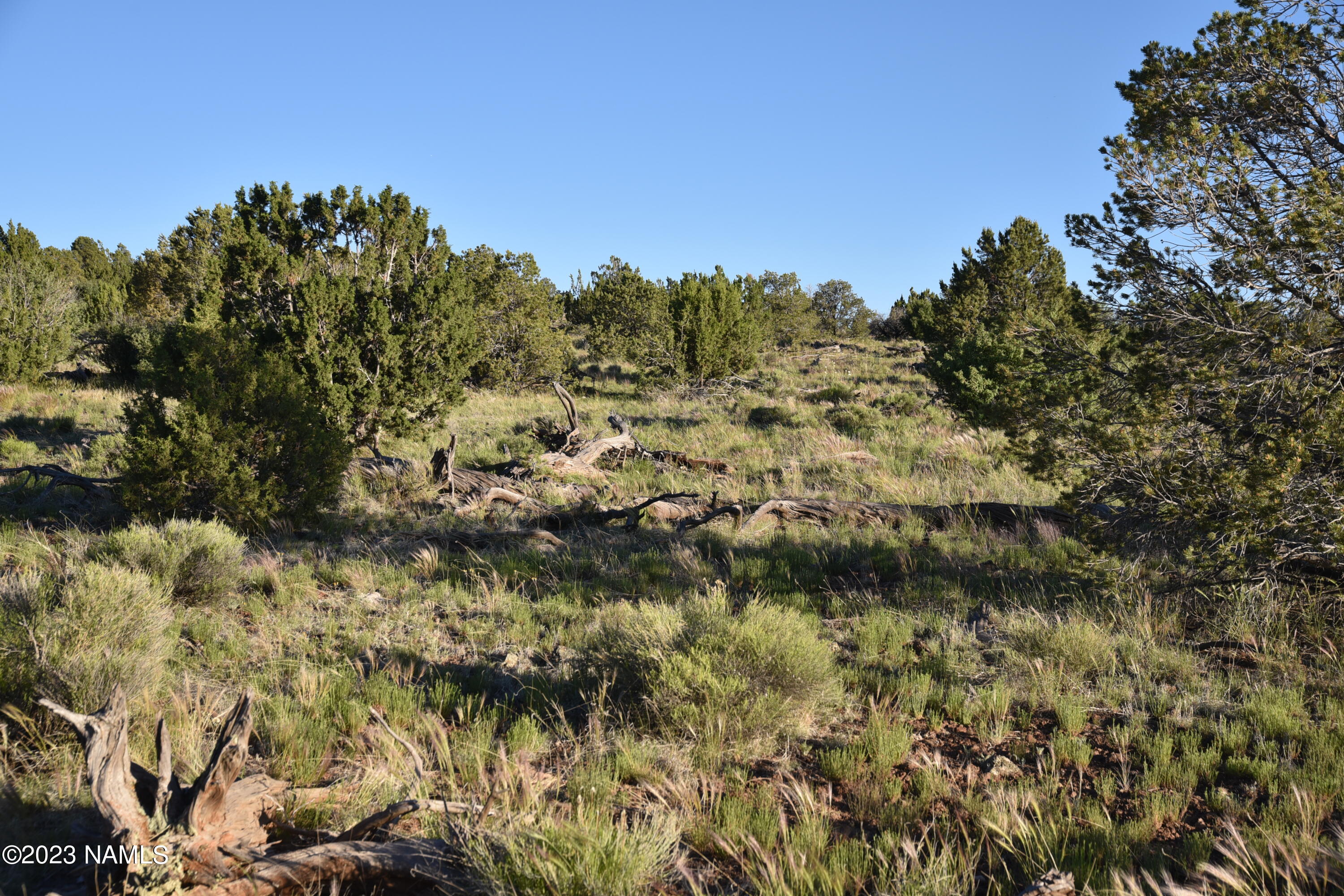 11921 Mesa View Road Williams, AZ 86046 - Photo 13 of 28 DSC_2649