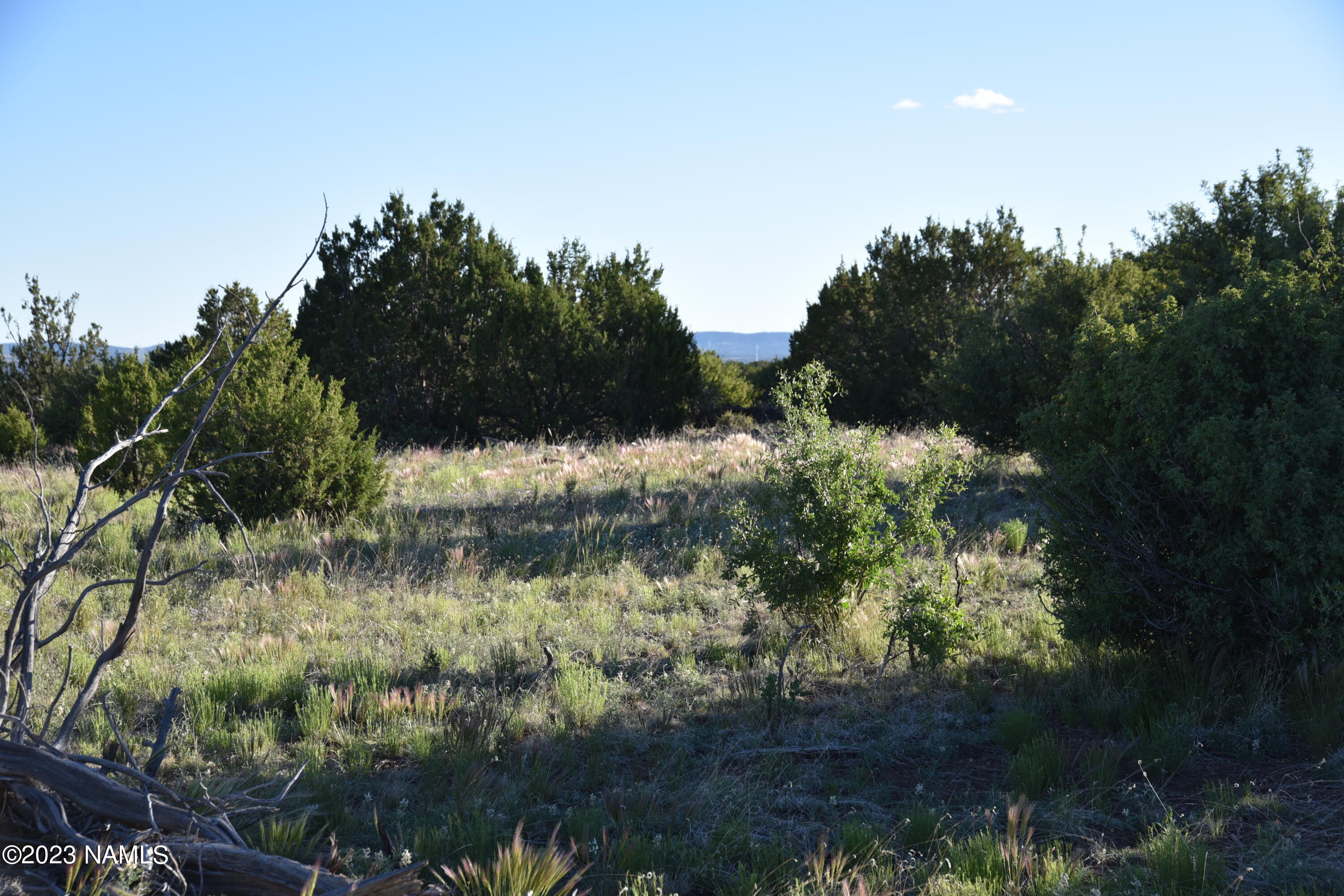 11921 Mesa View Road Williams, AZ 86046 - Photo 20 of 28 DSC_2624