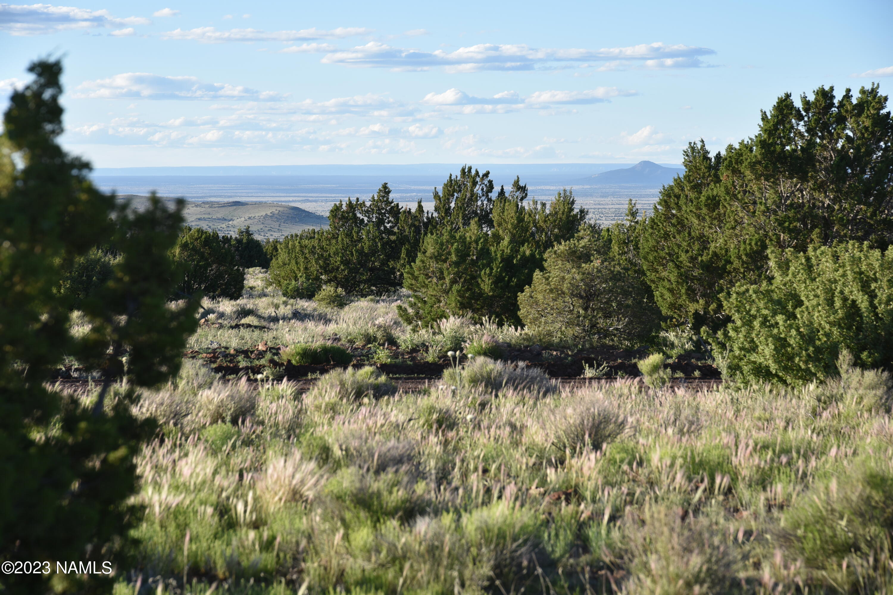 11921 Mesa View Road Williams, AZ 86046 - Photo 2 of 28 DSC_2640