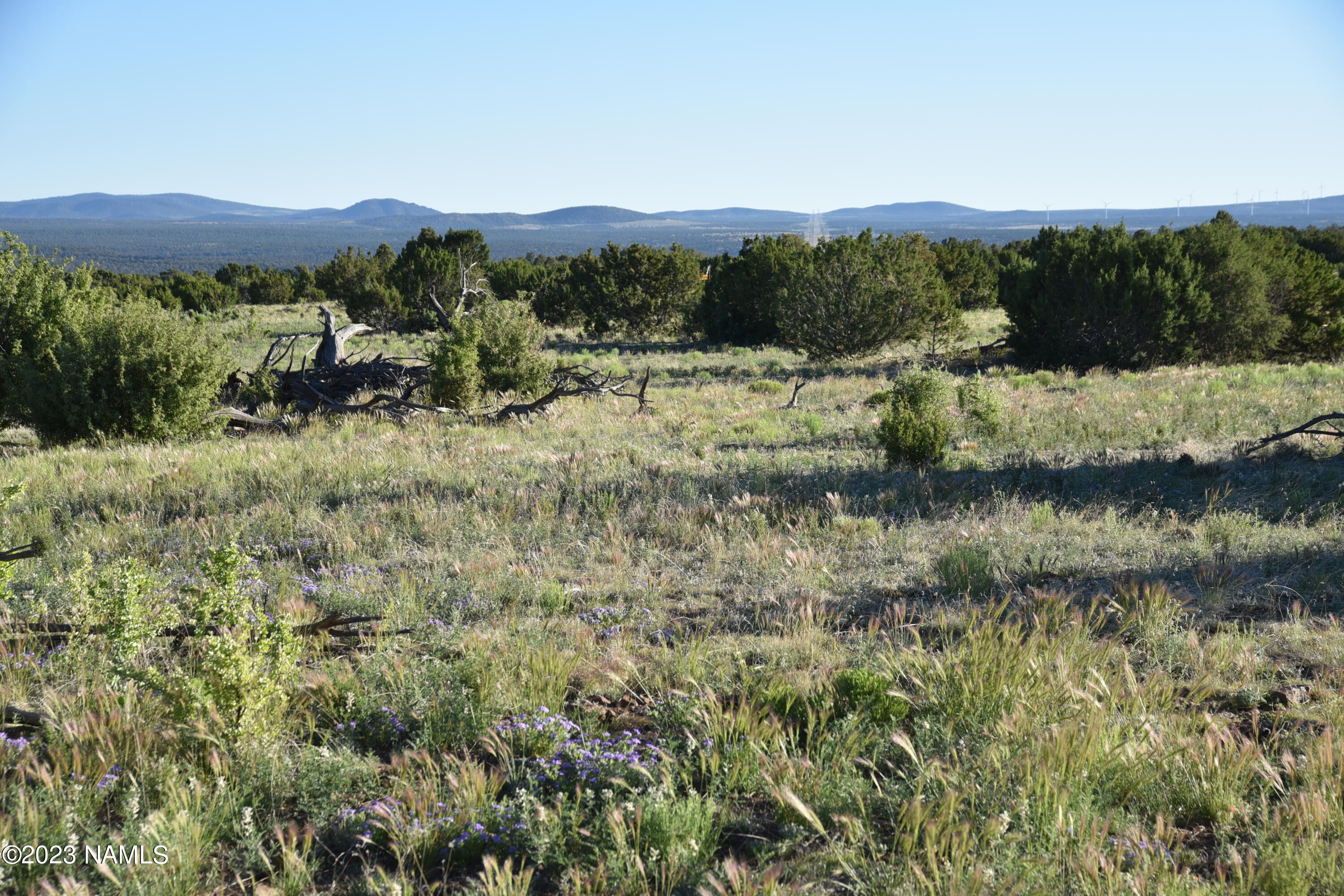 11921 Mesa View Road Williams, AZ 86046 - Photo 22 of 28 DSC_2627