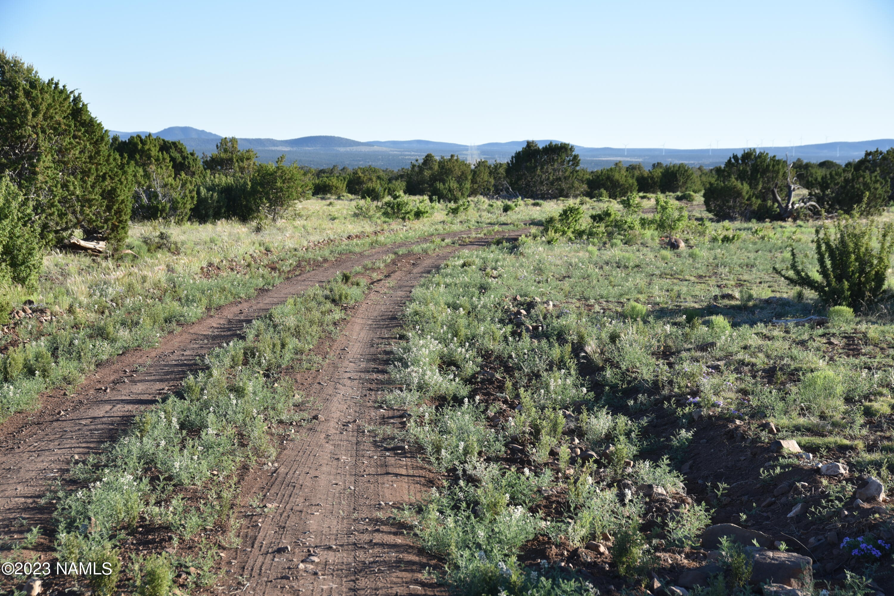 11921 Mesa View Road Williams, AZ 86046 - Photo 23 of 28 DSC_2628