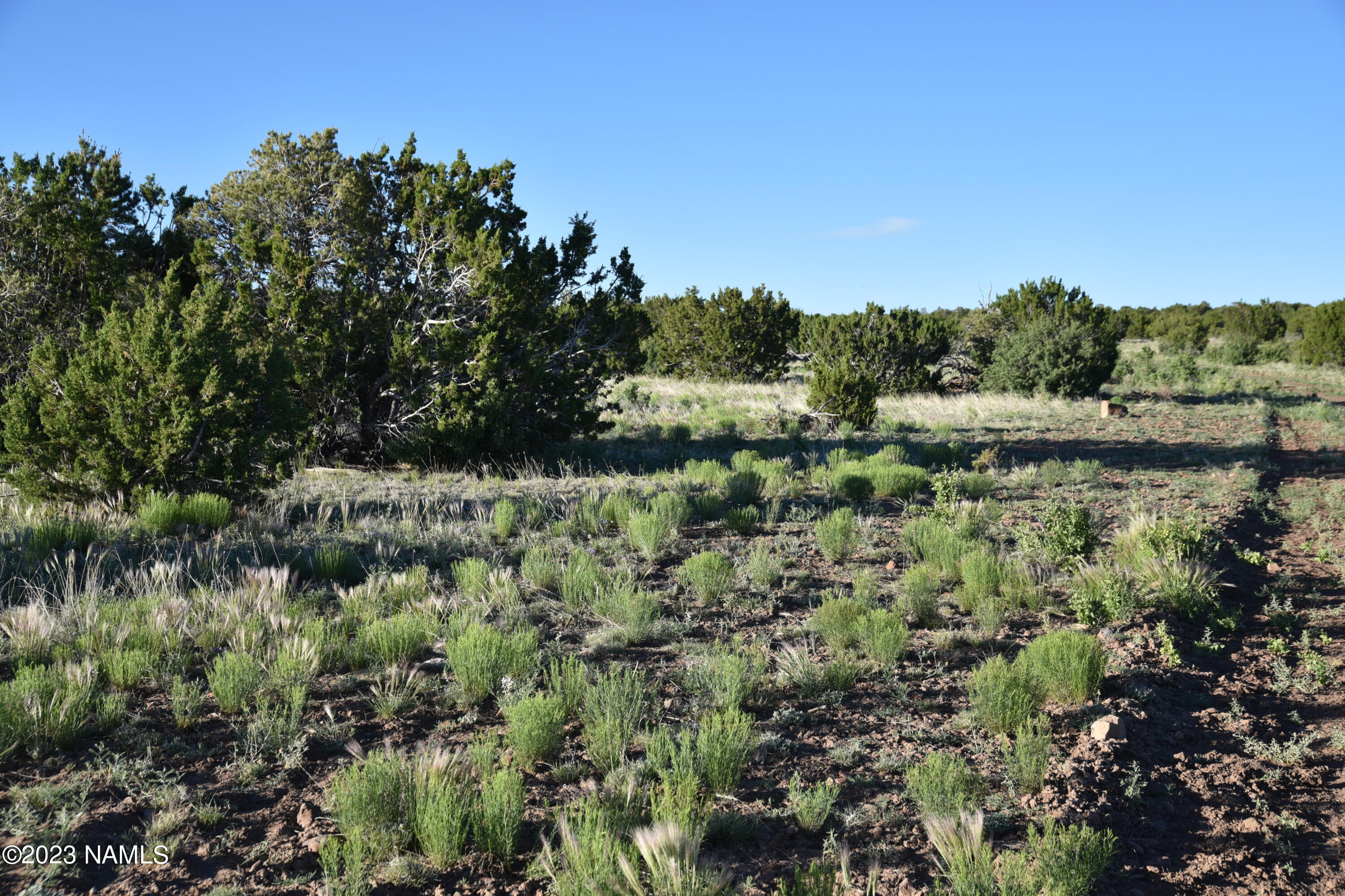 11921 Mesa View Road Williams, AZ 86046 - Photo 25 of 28 DSC_2630