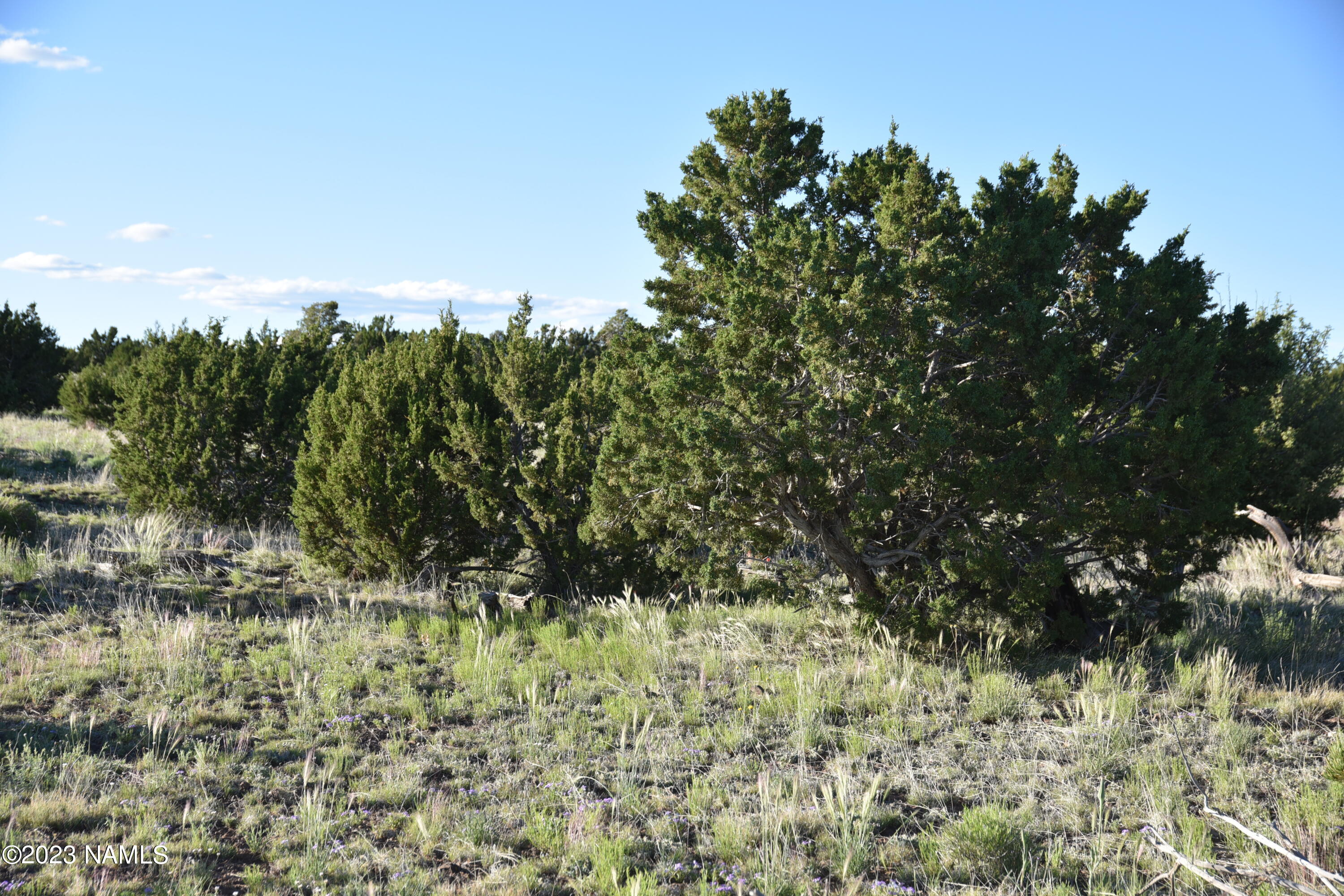 11921 Mesa View Road Williams, AZ 86046 - Photo 26 of 28 DSC_2631