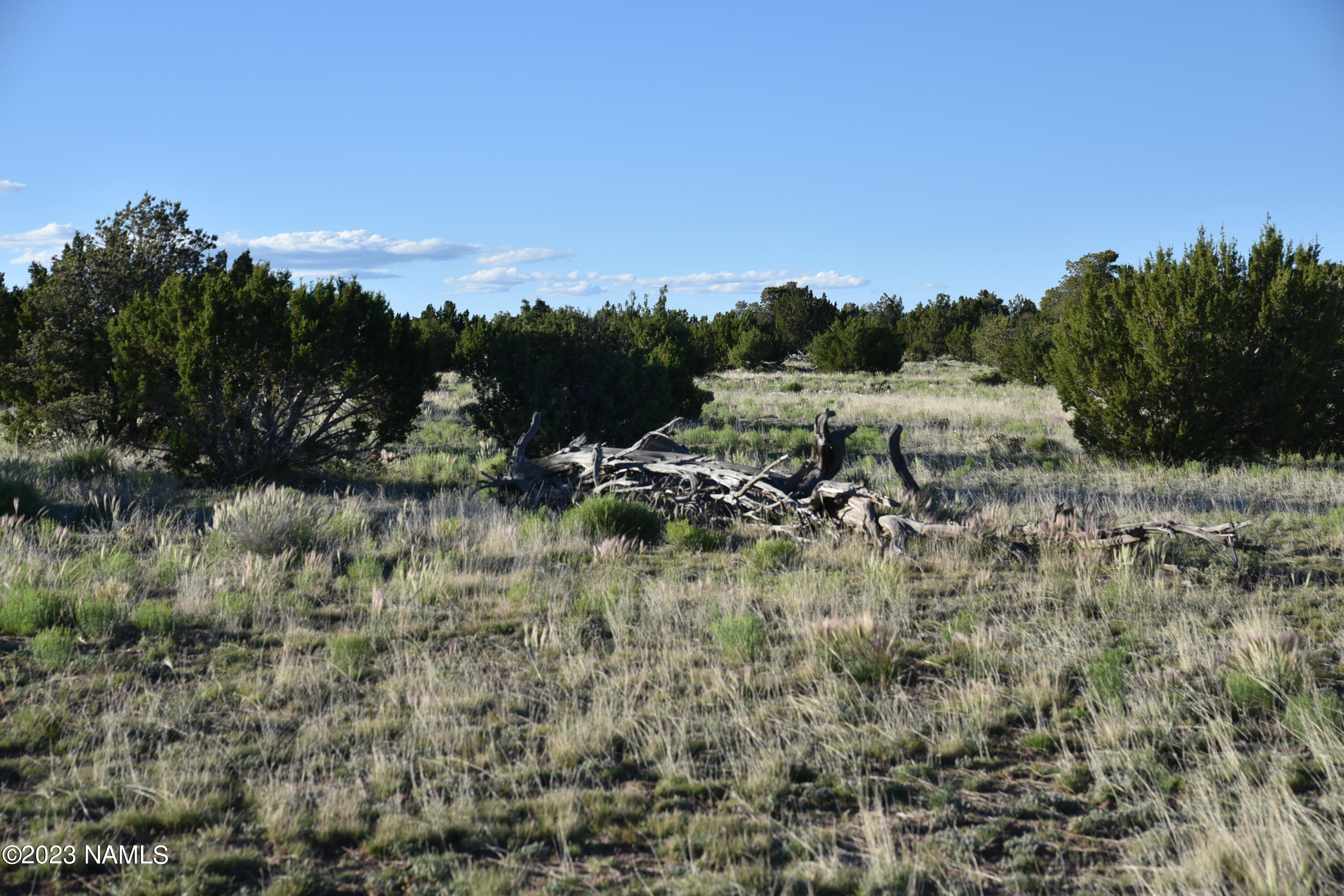 11921 Mesa View Road Williams, AZ 86046 - Photo 28 of 28 DSC_2633