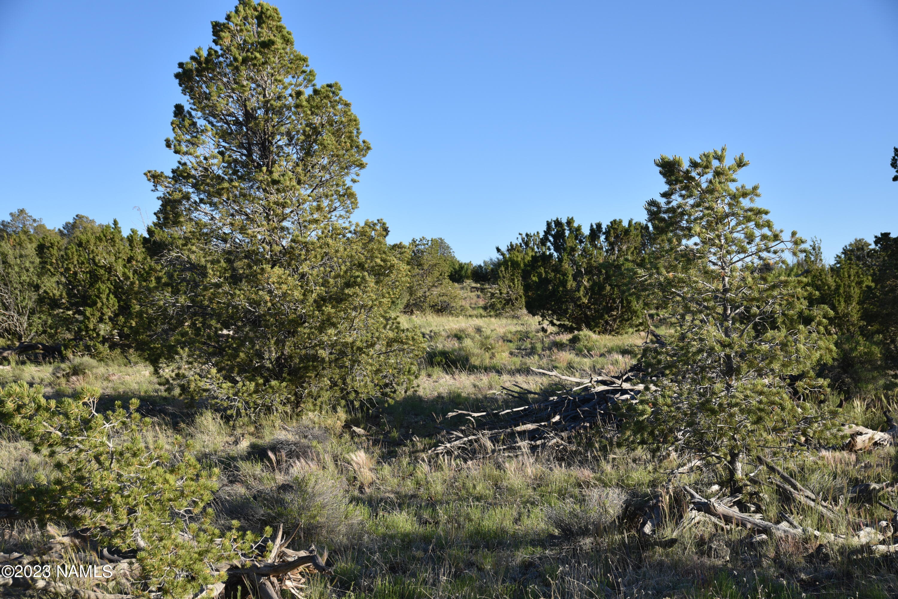 11921 Mesa View Road Williams, AZ 86046 - Photo 3 of 28 DSC_2648
