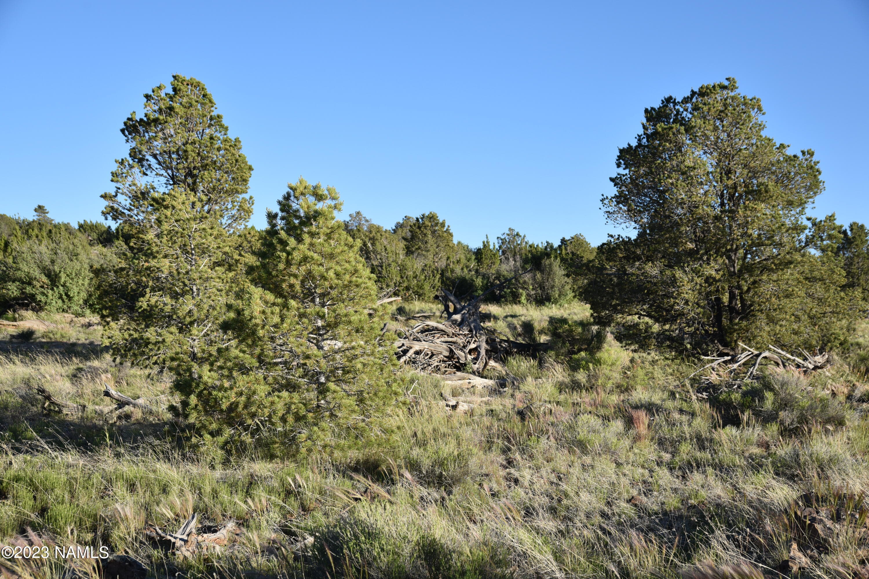 11921 Mesa View Road Williams, AZ 86046 - Photo 5 of 28 DSC_2647