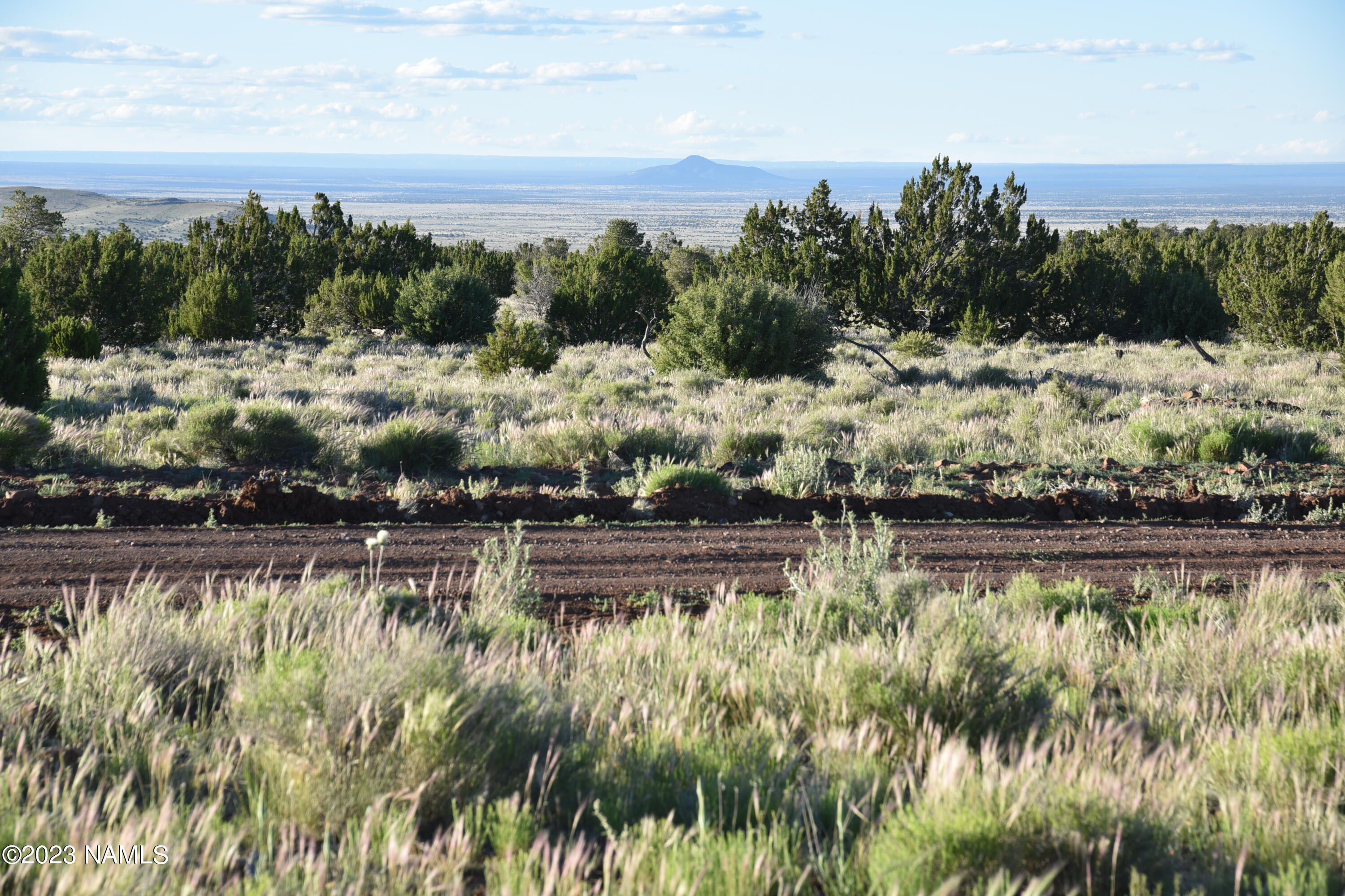 11921 Mesa View Road Williams, AZ 86046 - Photo 7 of 28 DSC_2639