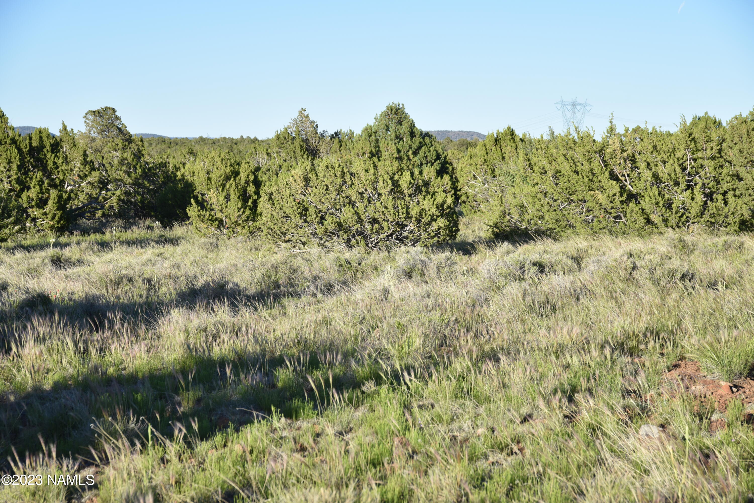 11921 Mesa View Road Williams, AZ 86046 - Photo 8 of 28 DSC_2641