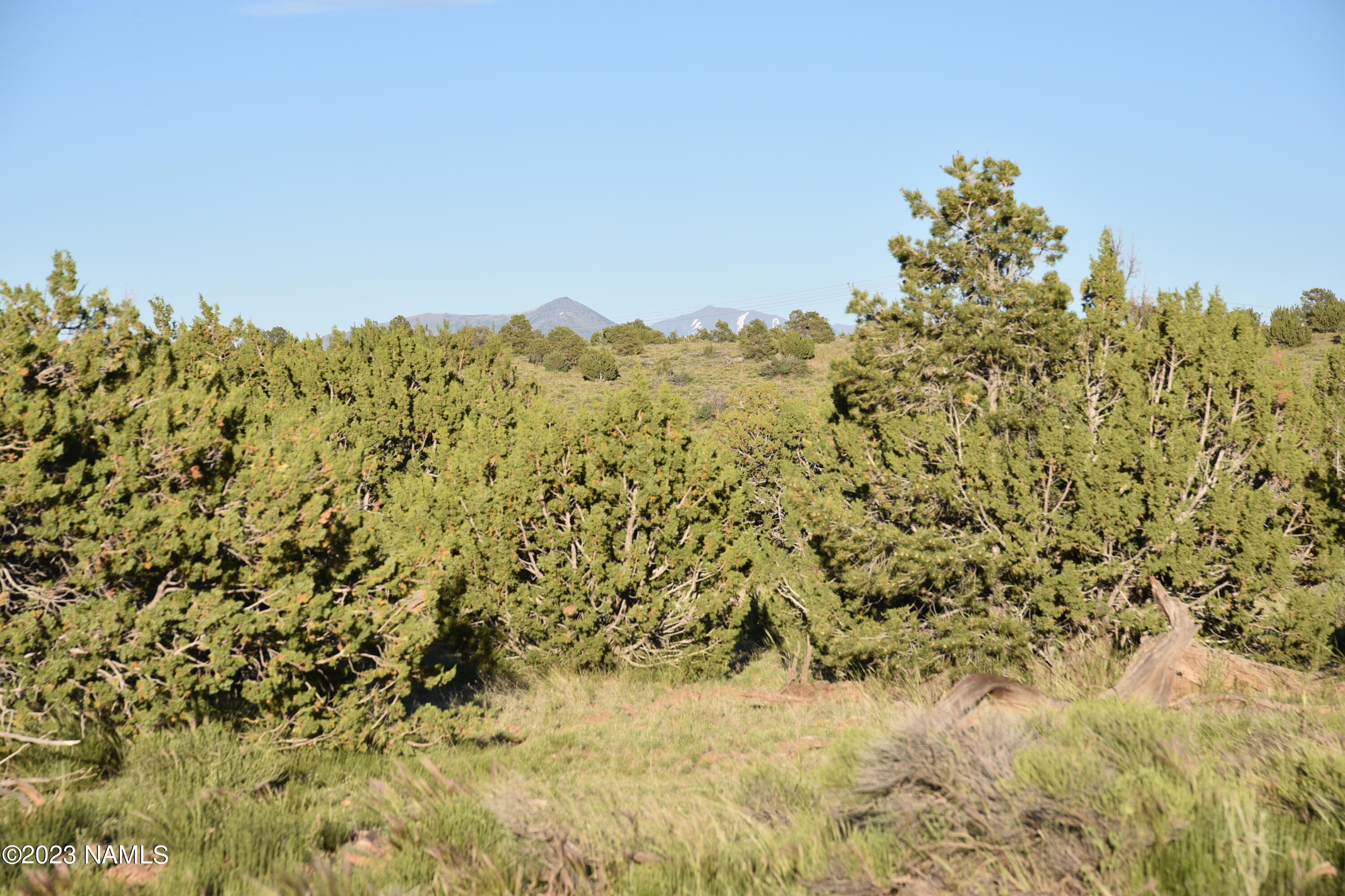 11921 Mesa View Road Williams, AZ 86046 - Photo 10 of 28 DSC_2644